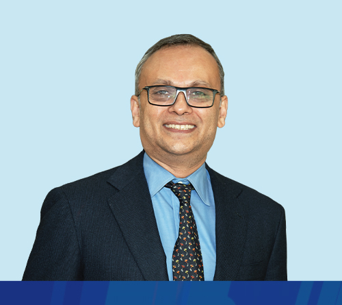 Mr. Shrinivas V. Dempo