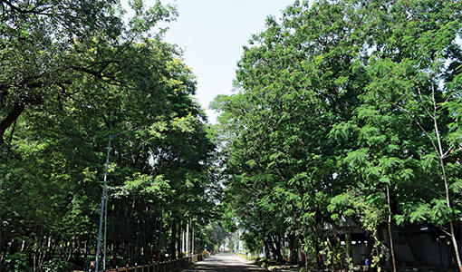 Natural Capital
