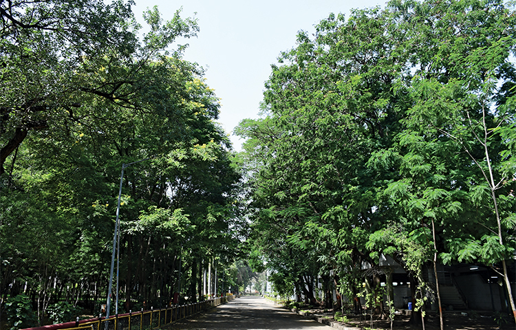 Natural Capital